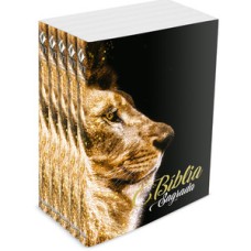 Kit com 5 bíblias do leão ouro - brochura - nvt