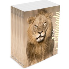 Kit com 5 bíblias do leão no campo de trigo - brochura - nvi