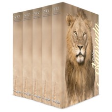 Kit com 5 bíblias do leão no campo de trigo - capa dura - nvi