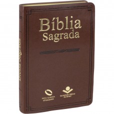 Bíblia Sagrada NAA