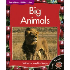 Big animals