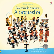 A orquestra: descobrindo a música