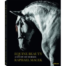 Equine beauty