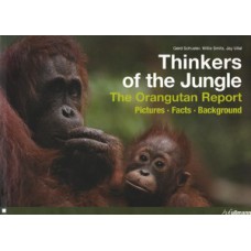 Thinkers of the jungle