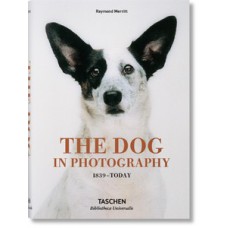 The Dog in photography 1839 - today