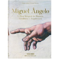 Michelangelo - obra completa de pintura