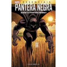 Pantera Negra: Quem é o Pantera Negra?