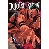 Jujutsu Kaisen: Batalha de Feiticeiros Vol. 25