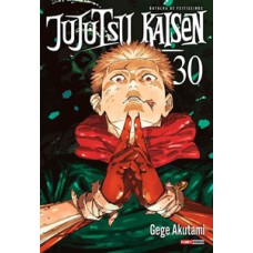 Jujutsu Kaisen: Batalha de Feiticeiros Vol. 30