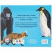 Explorando o Mundo: Animais do Mundo