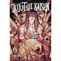 Jujutsu Kaisen - Vol. 06 - Batalha de Feiticeiros