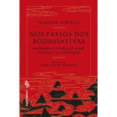 Nos passos dos bodhisattvas