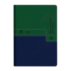 Bíblia NVI português-inglês - Capa verde e azul