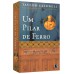 Um pilar de ferro