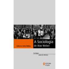A sociologia de Max Weber