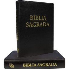 Bíblia Sagrada - Nova tradução na linguagem de hoje - (Letra grande)