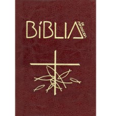 Biblia de aparecida letra grande marrom