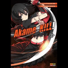 Akame Ga Kill Volume 13
