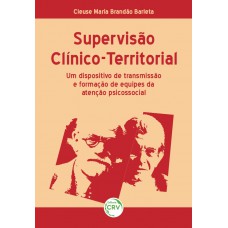 Supervisão clínico-territorial