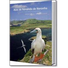 Aves de Fernando de Noronha
