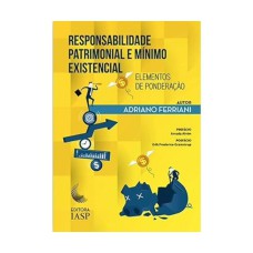 Responsabilidade Patrimonial E Mínimo Existencial