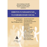 Direitos fundamentais e vulnerabilidade social