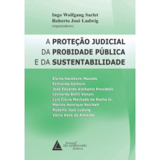 A proteção judicial da probidade pública e da sustentabilidade