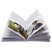 Clássicos da Literatura: Memórias de um Sargento de Milícias