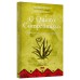 O quinto compromisso