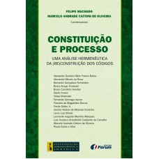 Constituição e processo - uma análise hermenêutica da (re)construção dos códigos