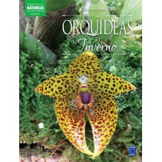 Coleção Esmeralda - Flores o Ano Todo: Orquídeas do Inverno