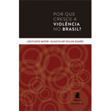 Por que cresce a violência no Brasil?