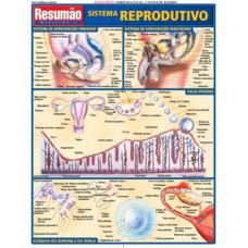 Sistema reprodutivo
