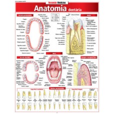 Anatomia Dentária